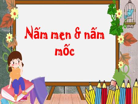 Bài giảng Khoa học Lớp 4 - Bài: Nấm men & nấm mốc