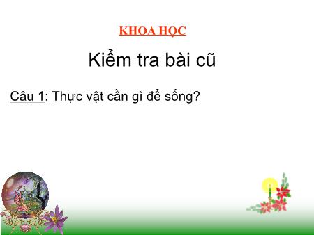 Bài giảng Khoa học Lớp 4 - Bài: Nhu cầu nước của thực vật - Năm học 2021-2022