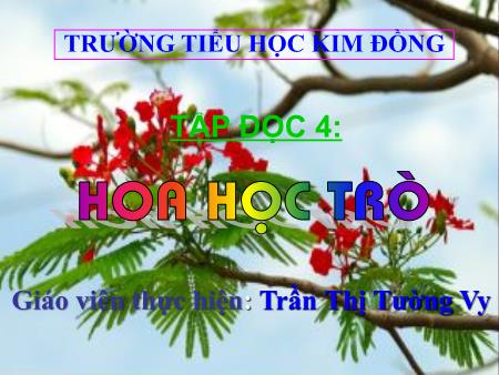 Bài giảng Tập đọc Lớp 4 - Bài: Hoa học trò - Trần Thị Tường Vy