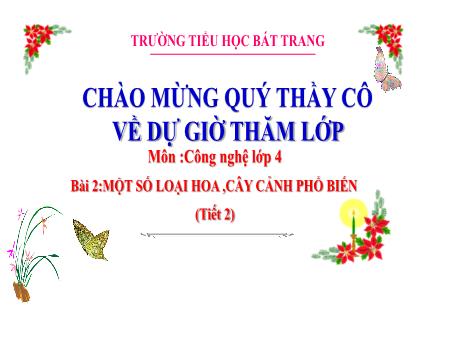 Bài giảng Công nghệ 4 (Kết nối tri thức) - Bài 2: Một số loại hoa, cây cảnh phổ biến (Tiết 2) - Trường Tiểu học Bát Trang