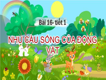 Bài giảng Khoa học 4 (Chân trời sáng tạo) - Bài 16: Nhu cầu sống của động vật (Tiết 1)