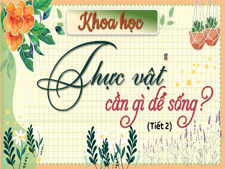 Bài giảng Khoa học 4 Sách Kết nối tri thức - Bài 15: Thực vật cần gì để sống (Tiết 2)