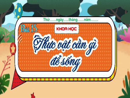 Bài giảng Khoa học 4 Sách Kết nối tri thức - Bài 15: Thực vật cần gì để sống