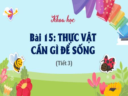 Bài giảng Khoa học 4 Sách Kết nối tri thức - Bài 15: Thực vật cần gì để sống? (Tiết 3)