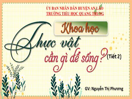 Bài giảng Khoa học 4 Sách Kết nối tri thức - Bài 15: Thực vật cần gì để sống (Tiết 2) - Nguyễn Thị Phương