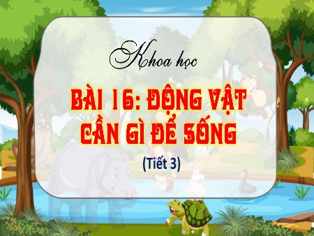 Bài giảng Khoa học 4 Sách Kết nối tri thức - Bài 16: Động vật cần gì để sống (Tiết 3)