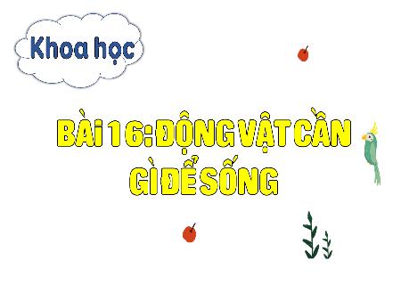 Bài giảng Khoa học 4 Sách Kết nối tri thức - Bài 16: Động vật cần gì để sống?