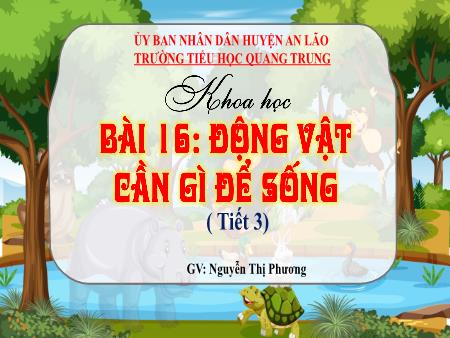 Bài giảng Khoa học 4 Sách Kết nối tri thức - Bài 16: Động vật cần gì để sống? (Tiết 3) - Nguyễn Thị Phương