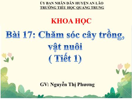 Bài giảng Khoa học 4 Sách Kết nối tri thức - Bài 17: Chăm sóc cây trồng vật nuôi (Tiết 1) - Nguyễn Thị Phương