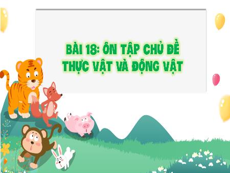 Bài giảng Khoa học 4 Sách Kết nối tri thức - Bài 18: Ôn tập chủ đề thực vật và động vật