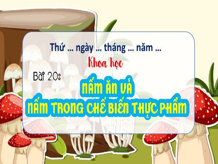 Bài giảng Khoa học 4 Sách Kết nối tri thức - Bài 20: Nấm ăn và nấm trong chế biến thực phẩm (Tiết 1)