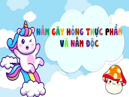 Bài giảng Khoa học 4 Sách Kết nối tri thức - Bài 21: Nấm gây hỏng thực phẩm và nấm độc (Tiết 2)