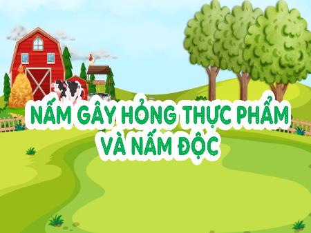 Bài giảng Khoa học 4 Sách Kết nối tri thức - Bài 21: Nấm gây hỏng thực phẩm và nấm độc