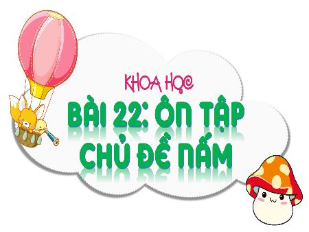 Bài giảng Khoa học 4 Sách Kết nối tri thức - Bài 22: Ôn tập chủ đề nấm