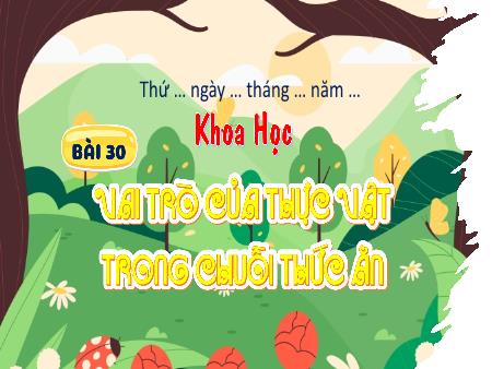 Bài giảng Khoa học 4 Sách Kết nối tri thức - Bài 30: Vai trò của thực vật trong chuỗi thức ăn
