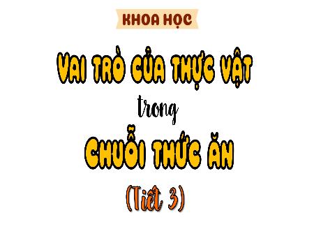 Bài giảng Khoa học 4 Sách Kết nối tri thức - Bài 30: Vai trò của thực vật trong chuỗi thức ăn (Tiết 3)