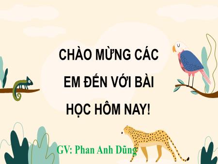 Bài giảng Khoa học 4 Sách Kết nối tri thức - Bài 30: Vai trò của thực vật trong chuỗi thức ăn - Phan Anh Dũng