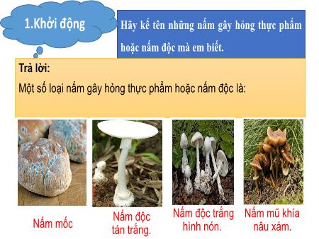 Bài giảng Khoa học 4 Sách Kết nối tri thức - Bài: Nấm gây hỏng thức phẩm và nấm độc - Nguyễn Thị Phương