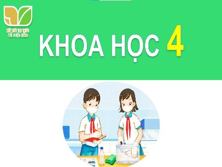 Bài giảng Khoa học 4 Sách Kết nối tri thức - Bài: Vai trò của thực vật trong chuỗi thức ăn (Tiết 3) - Năm học 2024-2025 - Dương Thị Quyên