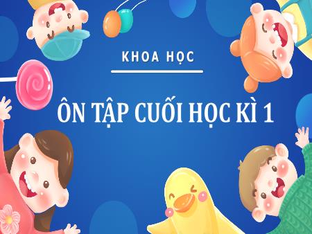 Bài giảng Khoa học 4 Sách Kết nối tri thức - Tuần 18: Ôn tập cuối học kì I