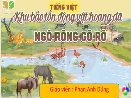Bài giảng Tiếng Việt 4 Sách Kết nối tri thức - Bài: Khu bảo tồn động vật hoang dã Ngô-rông-gô-rô - Phan Anh Dũng