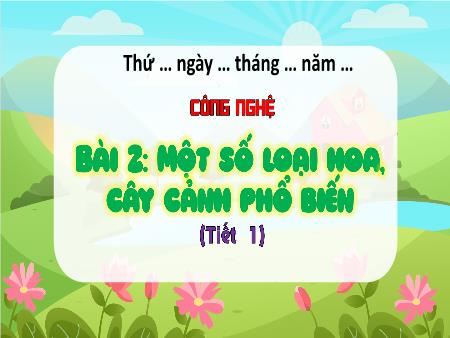 Bài giảng Công nghệ 4 (Kết nối tri thức) - Bài 2: Một số loại hoa, cây cảnh phổ biến (Tiết 1)