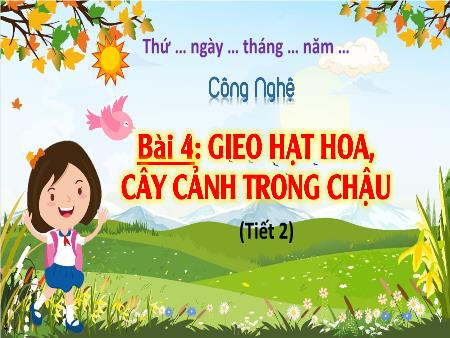 Bài giảng Công nghệ 4 (Kết nối tri thức) - Bài 4: Gieo hạt hoa, cây cảnh trong chậu (Tiết 2)