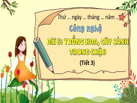 Bài giảng Công nghệ 4 (Kết nối tri thức) - Bài 5: Trồng hoa, cây cảnh trong chậu (Tiết 3)