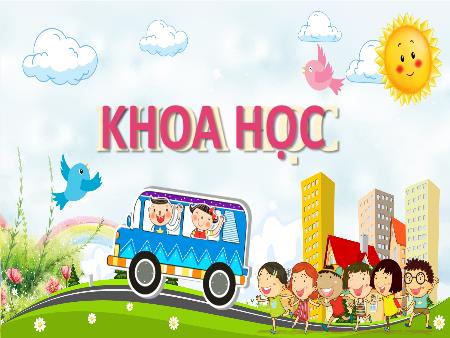 Bài giảng Khoa học 4 (Kết nối tri thức) - Bài 10: Âm thanh và sự lan truyền âm thanh (Tiết 2)
