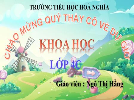 Bài giảng Khoa học 4 (Kết nối tri thức) - Bài 15: Thực vật cần gì để sống - Ngô Thị Hằng