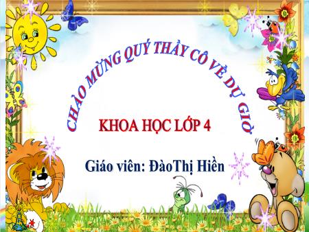 Bài giảng Khoa học 4 (Kết nối tri thức) - Bài 16: Động vật cần gì để sống - Đào Thị Hiền