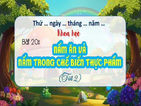Bài giảng Khoa học 4 (Kết nối tri thức) - Bài 20: Nấm ăn và nấm trong chế biến thực phẩm (Tiết 2)