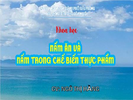 Bài giảng Khoa học 4 (Kết nối tri thức) - Bài 20: Nấm ăn và nấm trong chế biến thực phẩm - Ngô Thị Hằng