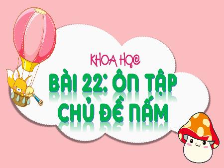 Bài giảng Khoa học 4 (Kết nối tri thức) - Bài 22: Ôn tập chủ đề Nấm