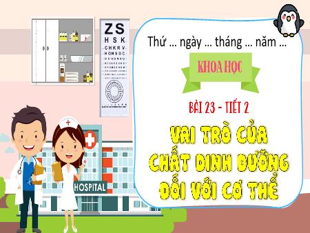 Bài giảng Khoa học 4 (Kết nối tri thức) - Bài 23: Vai trò của chất dinh dưỡng đối với cơ thể (Tiết 2)