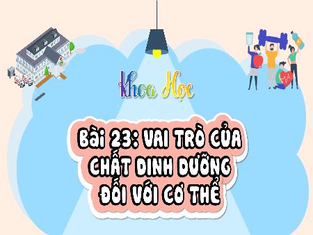 Bài giảng Khoa học 4 (Kết nối tri thức) - Bài 23: Vai trò của chất dinh dưỡng với cơ thể