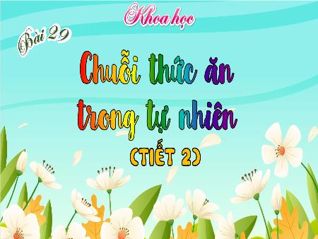 Bài giảng Khoa học 4 (Kết nối tri thức) - Bài 29: Chuỗi thức ăn trong tự nhiên (Tiết 2)