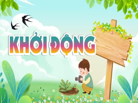 Bài giảng Khoa học 4 (Kết nối tri thức) - Bài 29: Chuỗi thức ăn trong tự nhiên