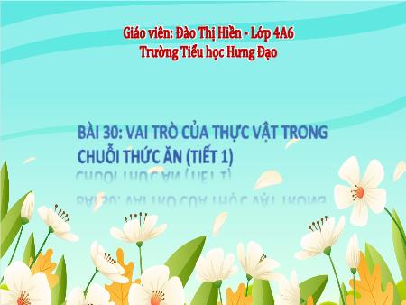 Bài giảng Khoa học 4 (Kết nối tri thức) - Bài 30: Vai trò của thực vật trong chuỗi thức ăn (Tiết 1) - Đào Thị Hiền
