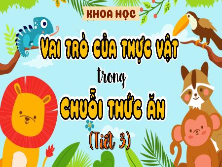 Bài giảng Khoa học 4 (Kết nối tri thức) - Bài 30: Vai trò của thực vật trong chuỗi thức ăn (Tiết 3)