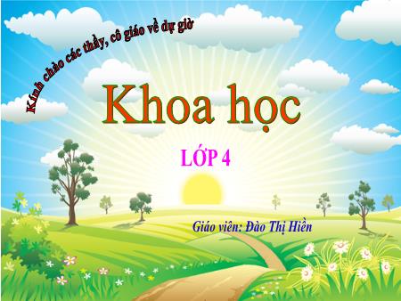 Bài giảng Khoa học 4 (Kết nối tri thức) - Bài 9: Vai trò của ánh sáng - Năm học 2024-2025 - Đào Thị Hiền