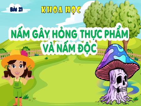 Bài giảng Khoa học Lớp 4 (Kết nối tri thức) - Bài 21: Nấm gây hỏng thực phẩm và nấm độc