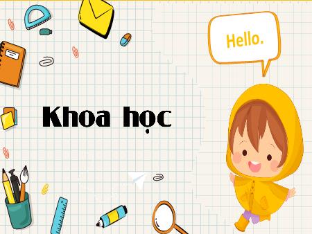 Bài giảng Khoa học Lớp 4 (Kết nối tri thức) - Bài 9: Vai trò của ánh sáng