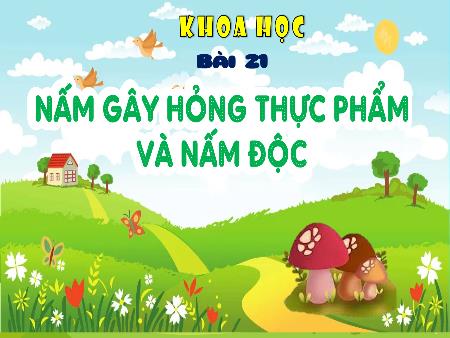 Bài giảng môn Khoa học Lớp 4 (Kết nối tri thức) - Bài 21: Nấm gây hỏng thực phẩm và nấm độc